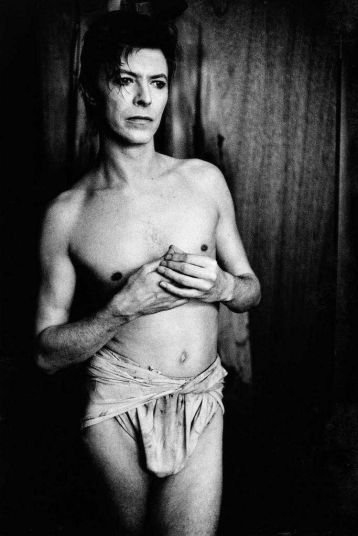 bowie_elephant man