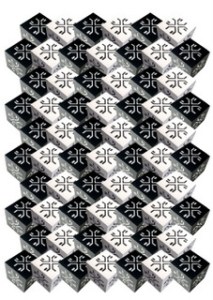 KUBUS -een ander project van Gert Wessels