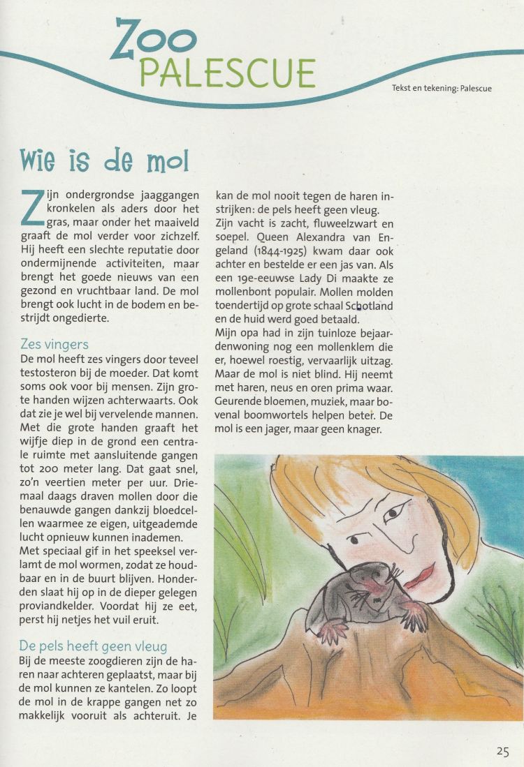 6 V&V Wie is de Mol_201806 klein