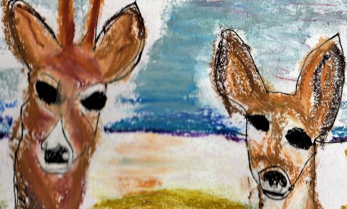 Zoo Palescue #8: De het een&nbsp;ree