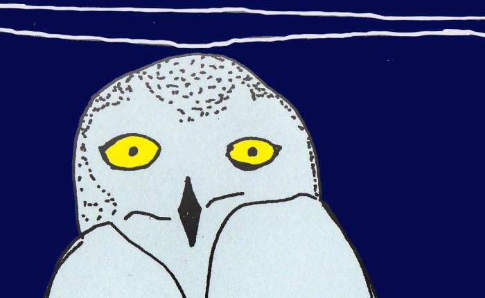 Zoo Palescue #9: Uilskuikenspiegel