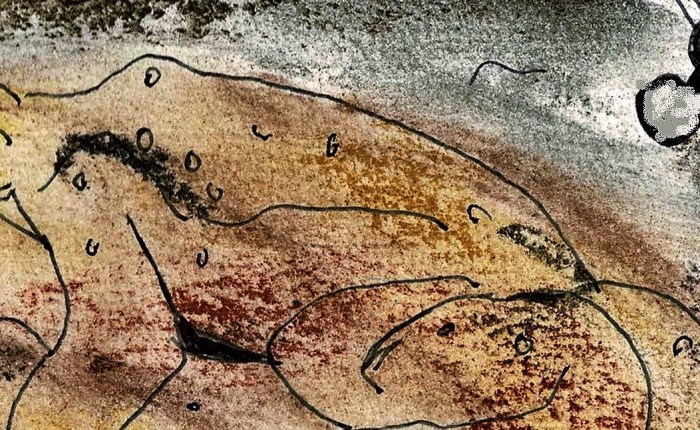 Z00 palescue #16:&nbsp;Paddentrek