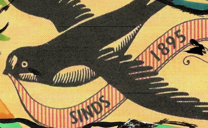 Z00 Palescue #19: Ontaarde&nbsp;zwaluw