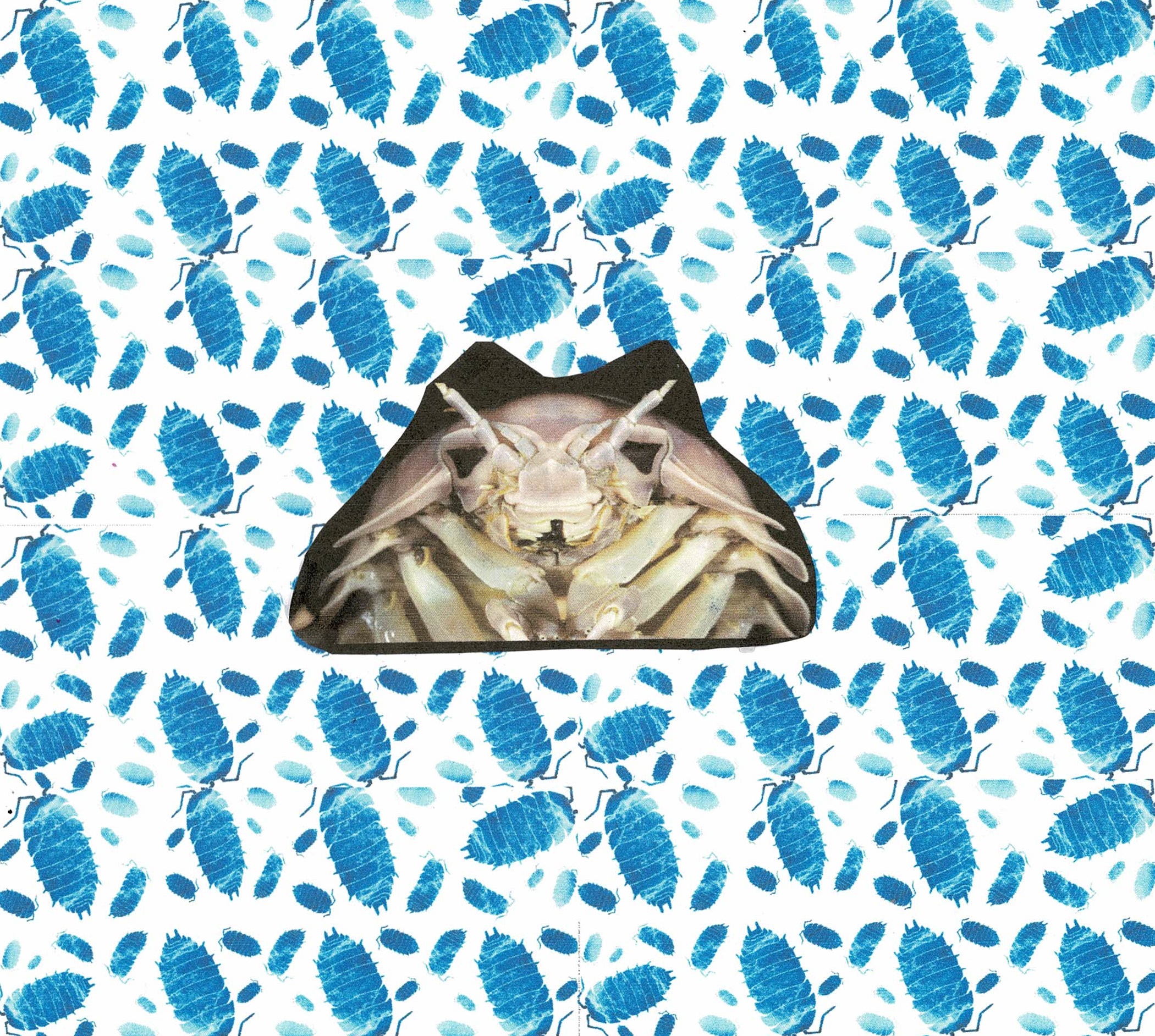 pissebedden - collage voor column